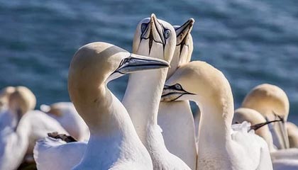 华体会官方网站——畅享极致体育娱乐体验